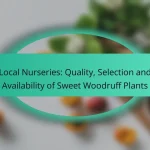 Local Nurseries: Quality, Selection and Availability of Sweet Woodruff Plants