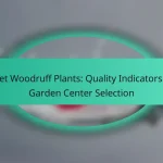 Sweet Woodruff Plants: Quality Indicators and Garden Center Selection
