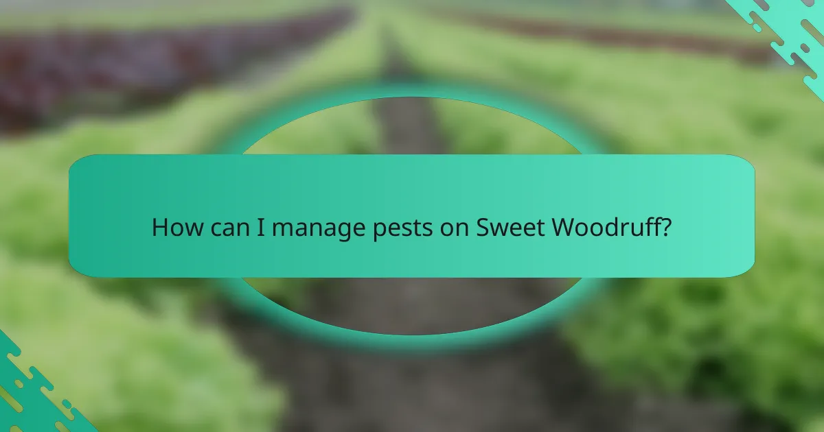 How can I manage pests on Sweet Woodruff?