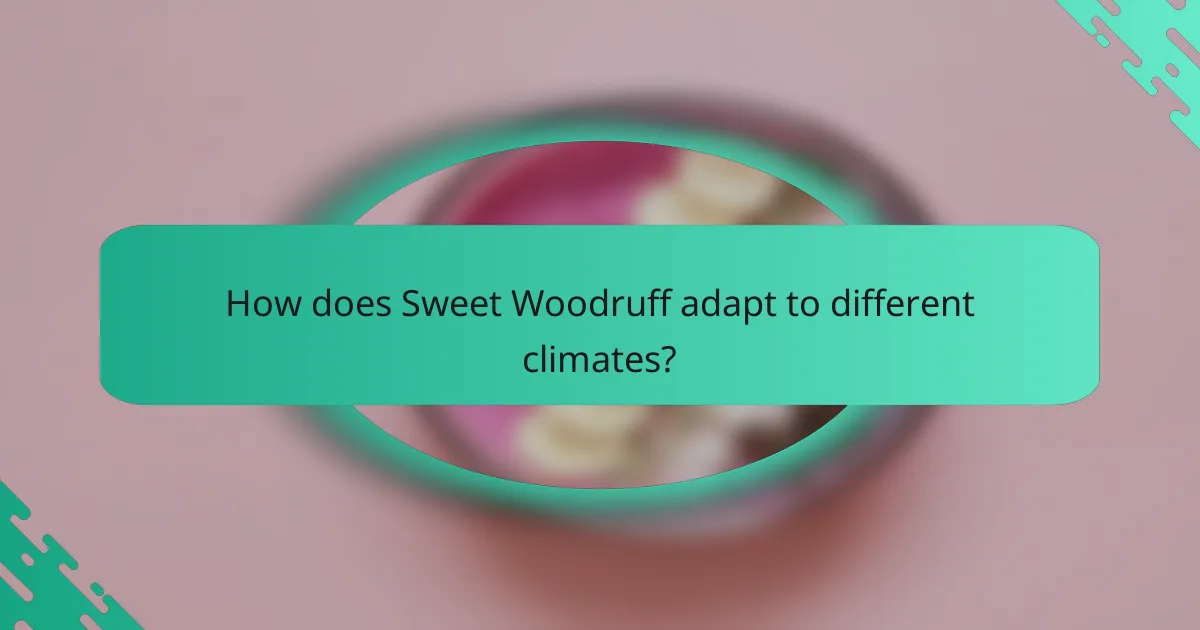 How does Sweet Woodruff adapt to different climates?