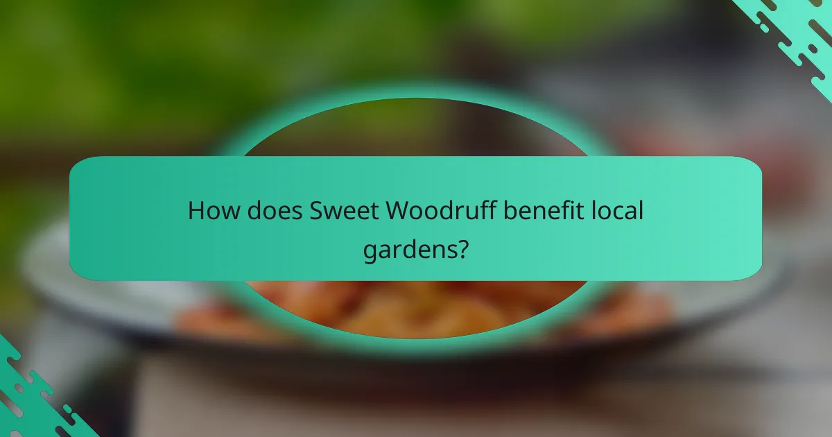 How does Sweet Woodruff benefit local gardens?