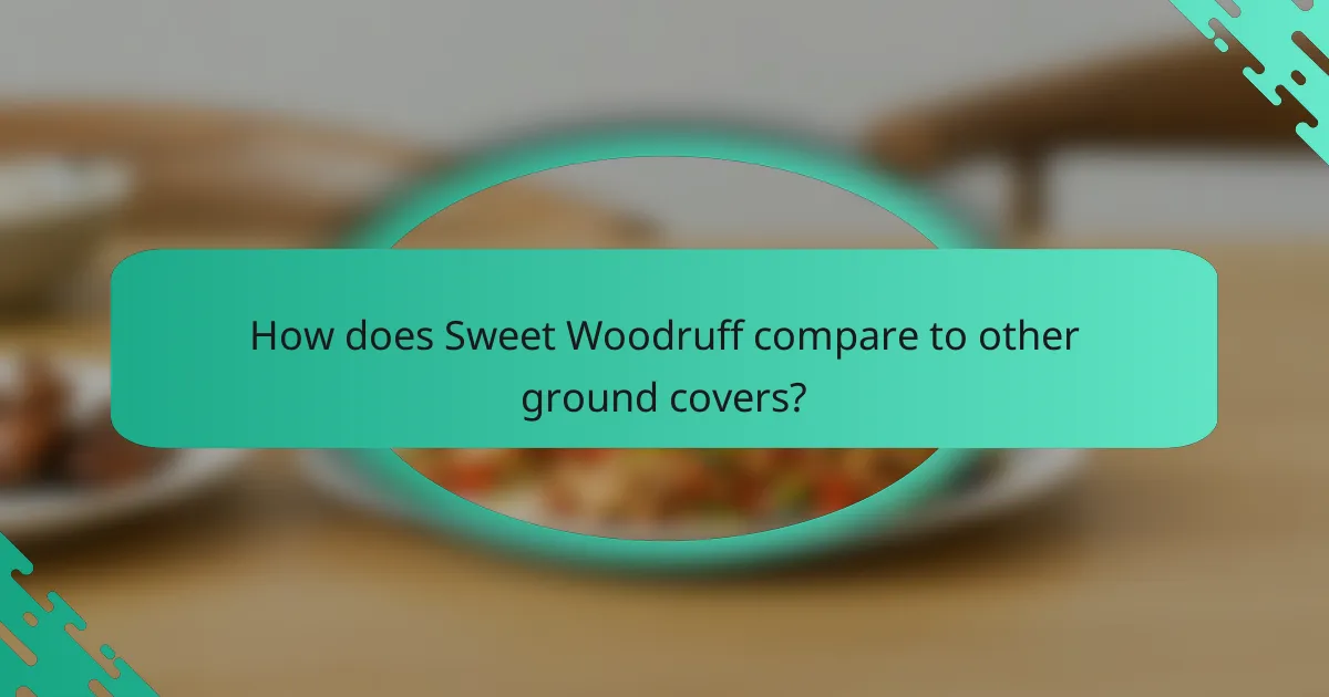 How does Sweet Woodruff compare to other ground covers?