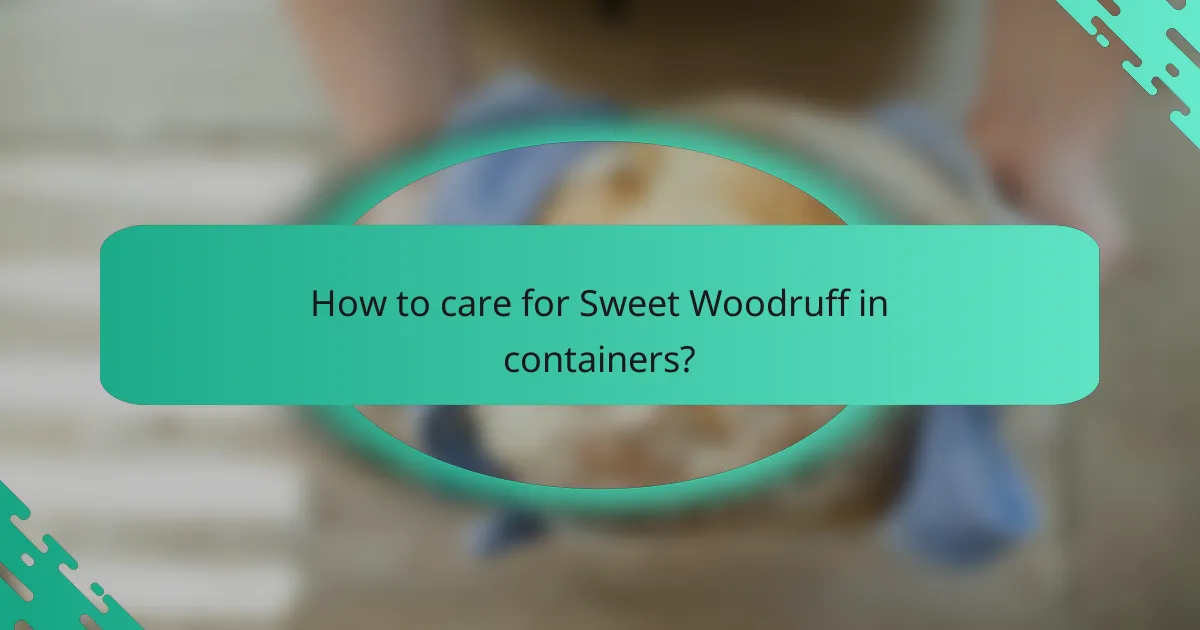 How to care for Sweet Woodruff in containers?