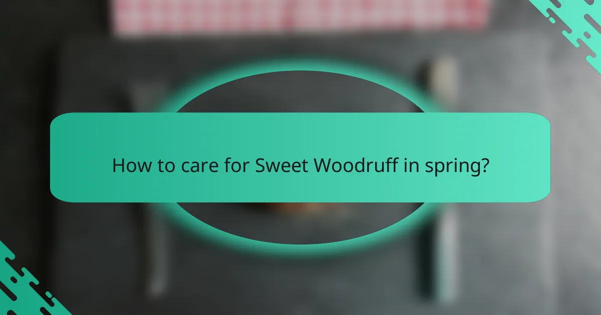 How to care for Sweet Woodruff in spring?