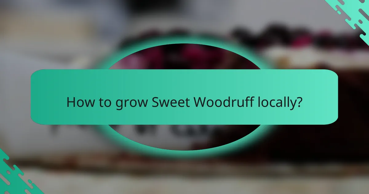 How to grow Sweet Woodruff locally?