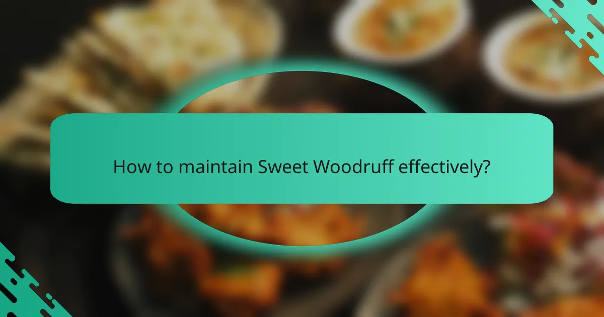 How to maintain Sweet Woodruff effectively?