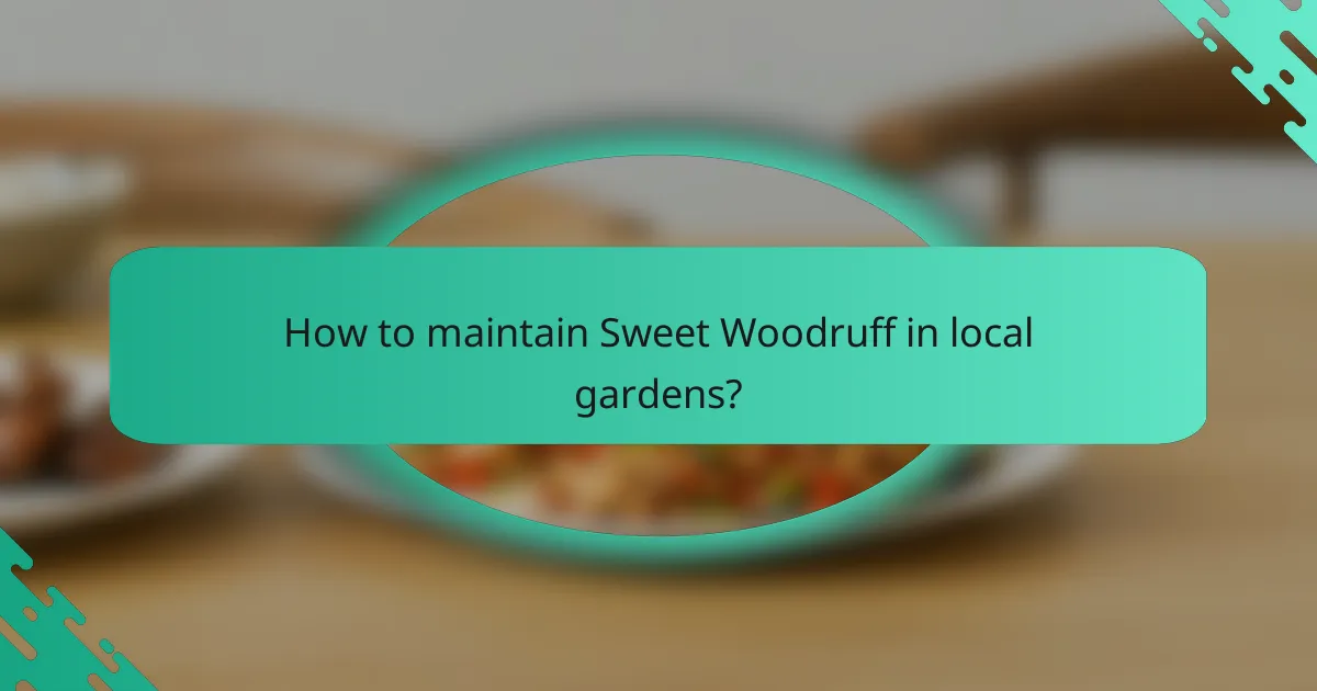 How to maintain Sweet Woodruff in local gardens?