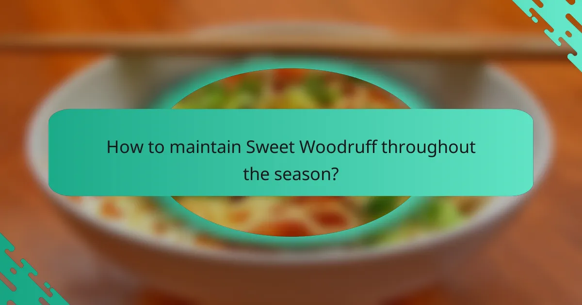 How to maintain Sweet Woodruff throughout the season?