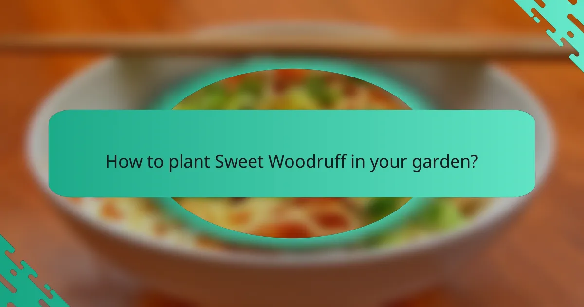 How to plant Sweet Woodruff in your garden?