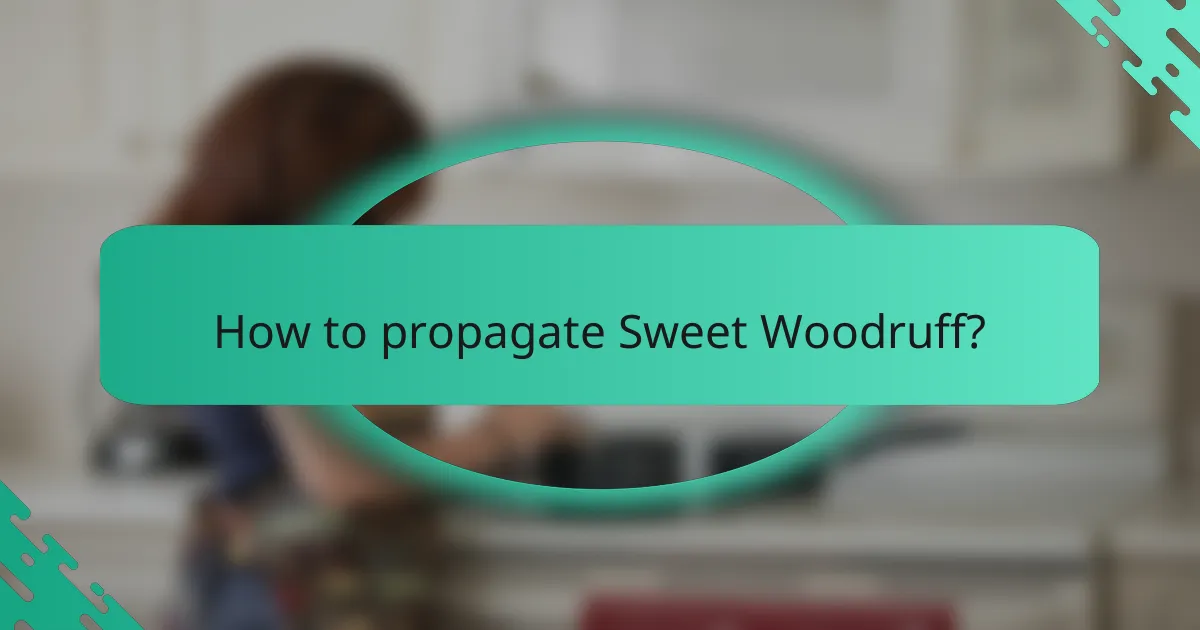 How to propagate Sweet Woodruff?
