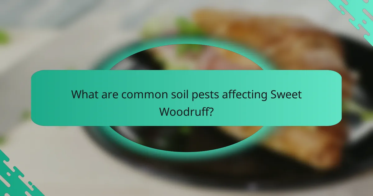 What are common soil pests affecting Sweet Woodruff?