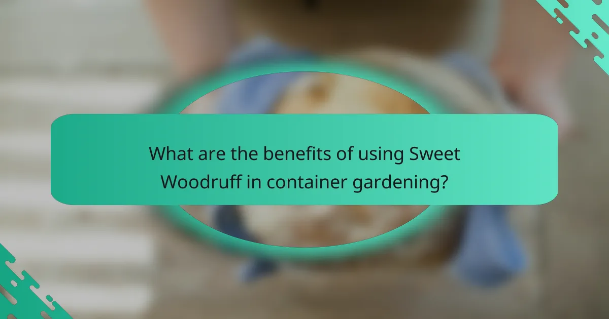 What are the benefits of using Sweet Woodruff in container gardening?