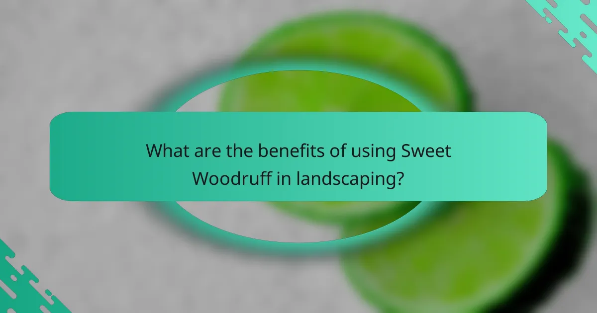 What are the benefits of using Sweet Woodruff in landscaping?