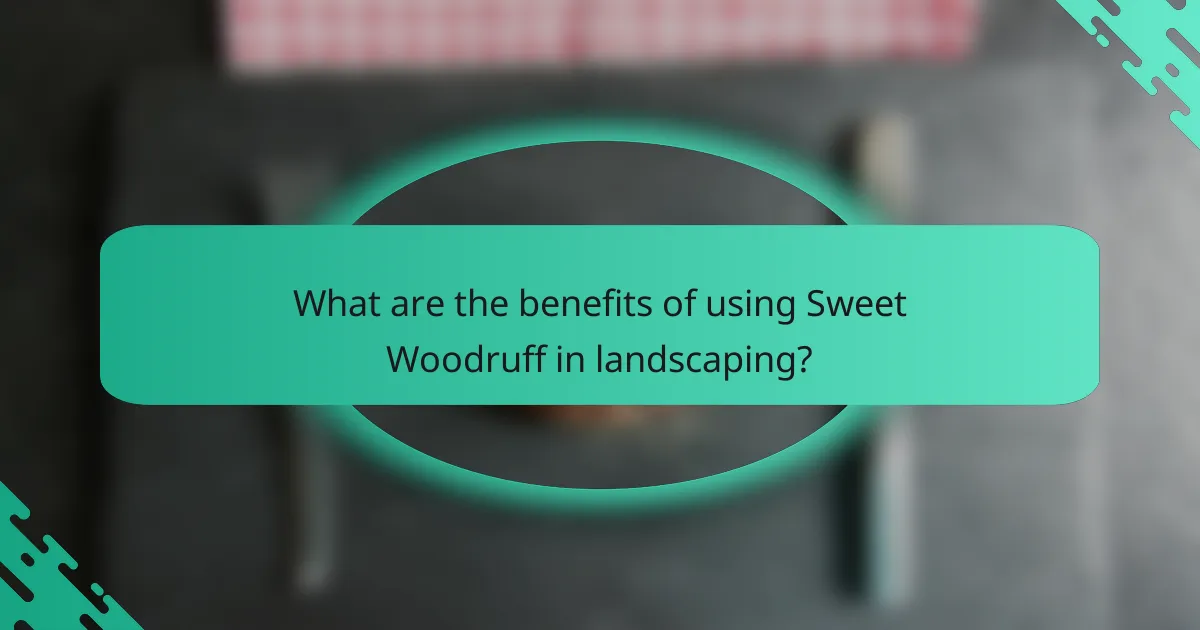 What are the benefits of using Sweet Woodruff in landscaping?