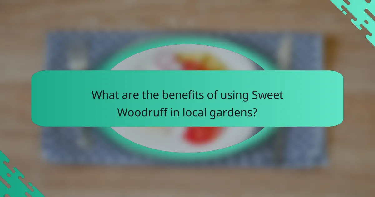 What are the benefits of using Sweet Woodruff in local gardens?