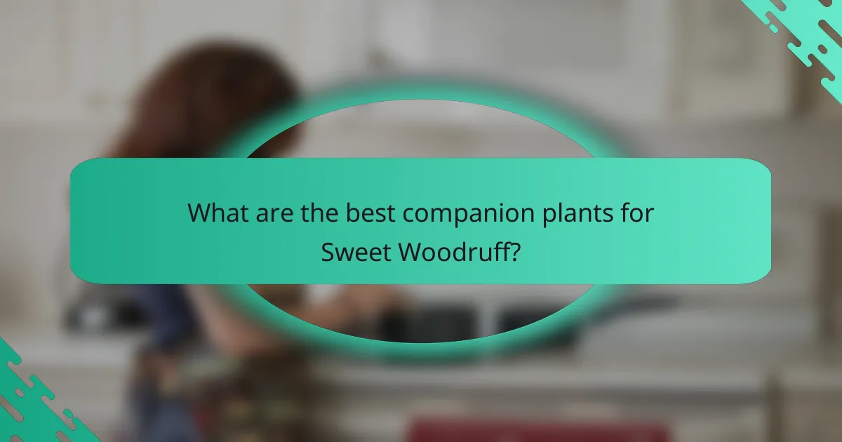 What are the best companion plants for Sweet Woodruff?
