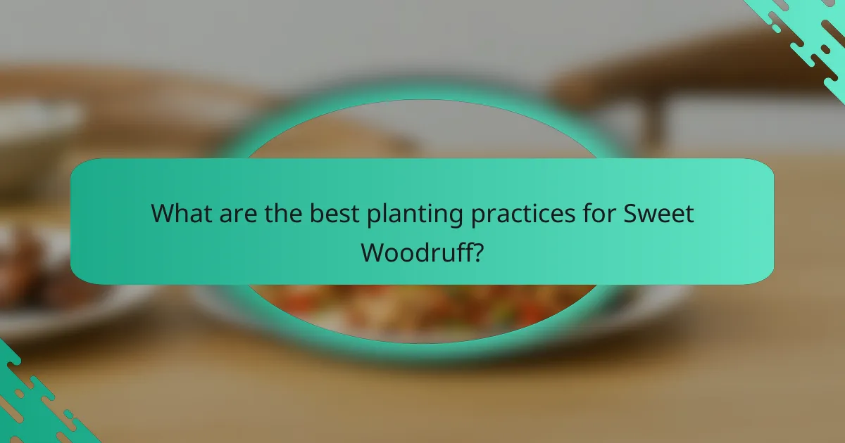What are the best planting practices for Sweet Woodruff?