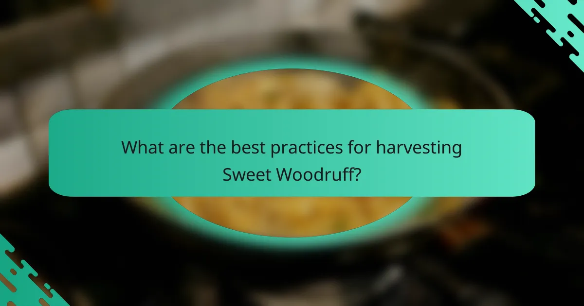 What are the best practices for harvesting Sweet Woodruff?