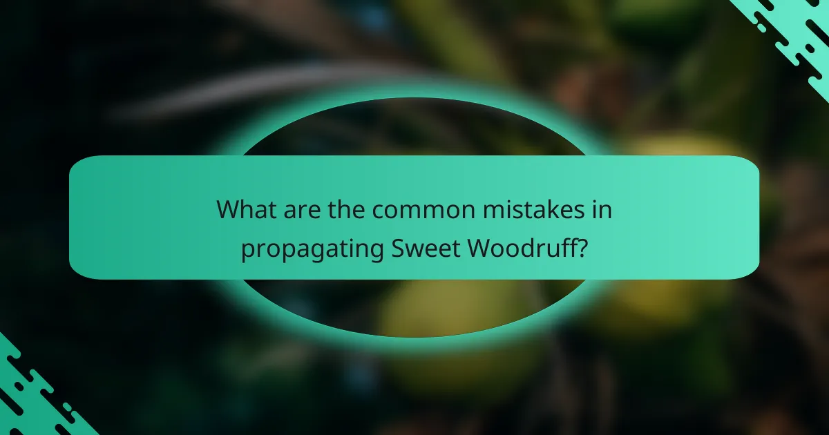 What are the common mistakes in propagating Sweet Woodruff?