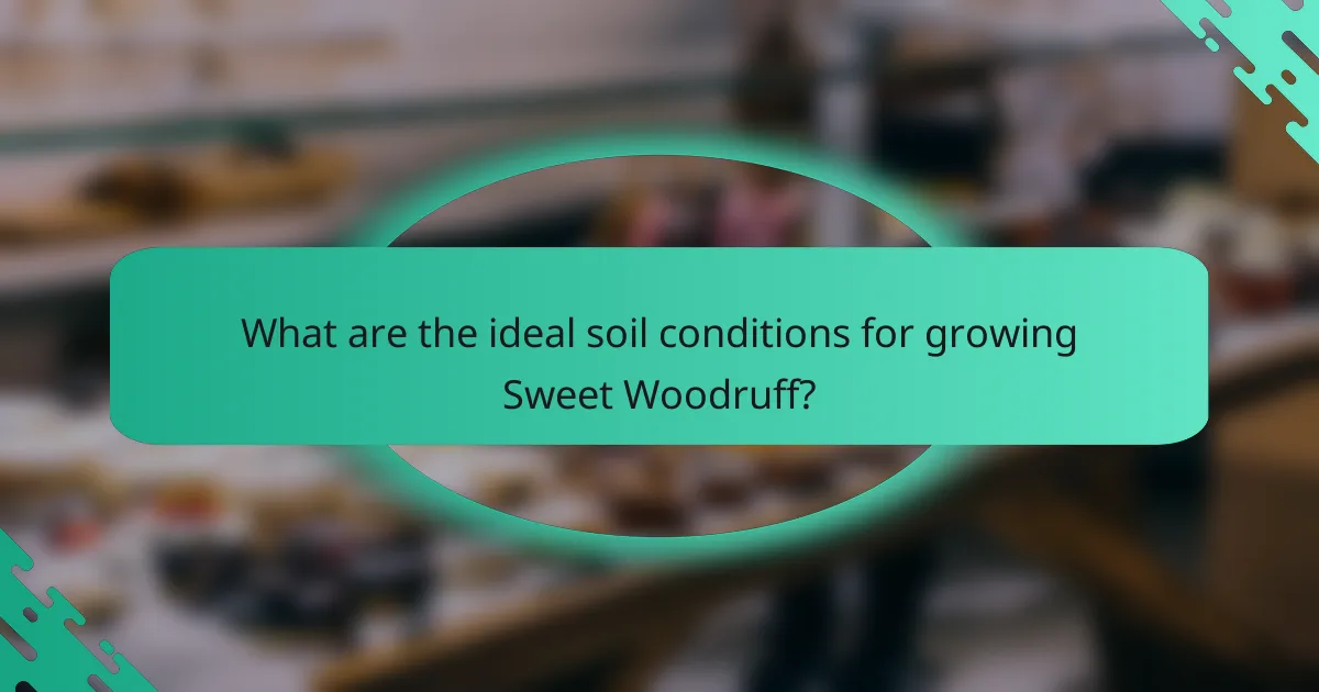 What are the ideal soil conditions for growing Sweet Woodruff?