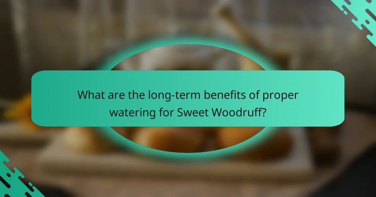 What are the long-term benefits of proper watering for Sweet Woodruff?