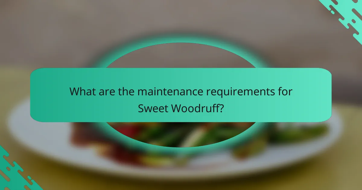 What are the maintenance requirements for Sweet Woodruff?