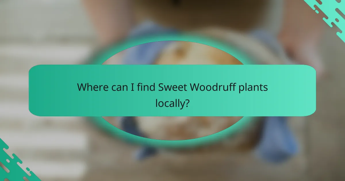 Where can I find Sweet Woodruff plants locally?