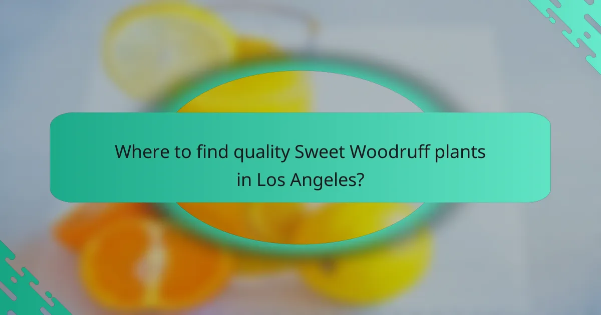 Where to find quality Sweet Woodruff plants in Los Angeles?