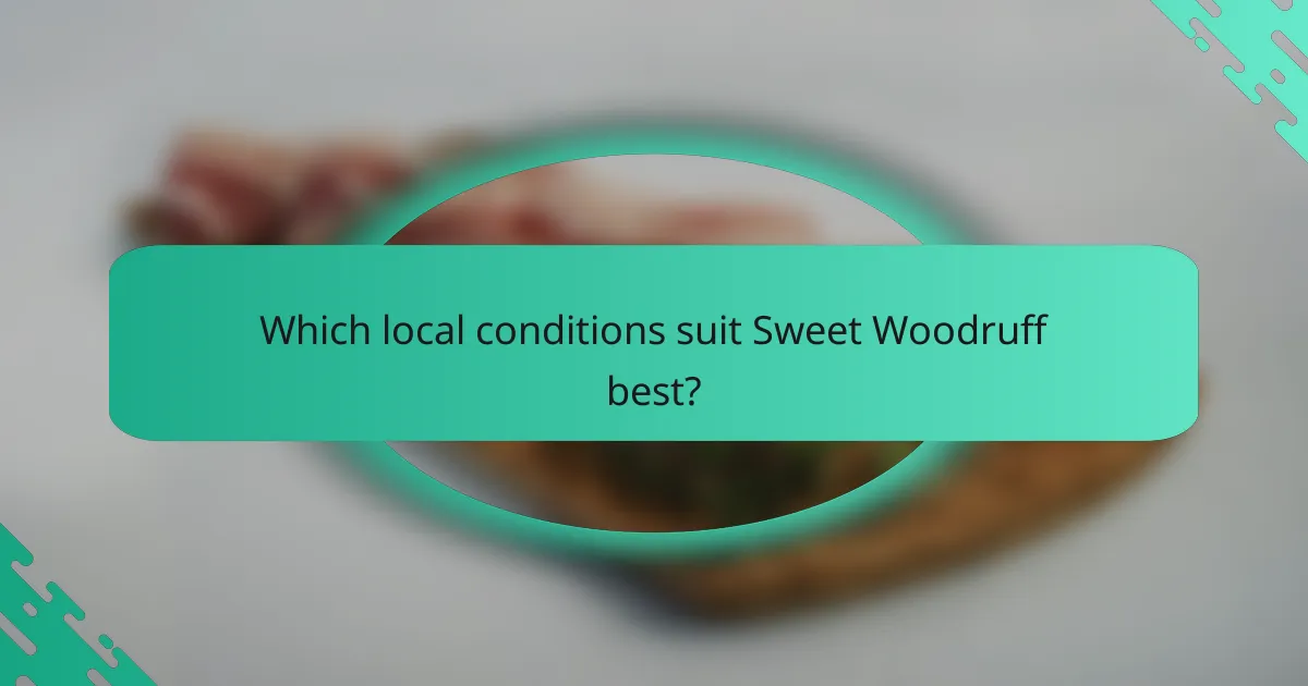 Which local conditions suit Sweet Woodruff best?